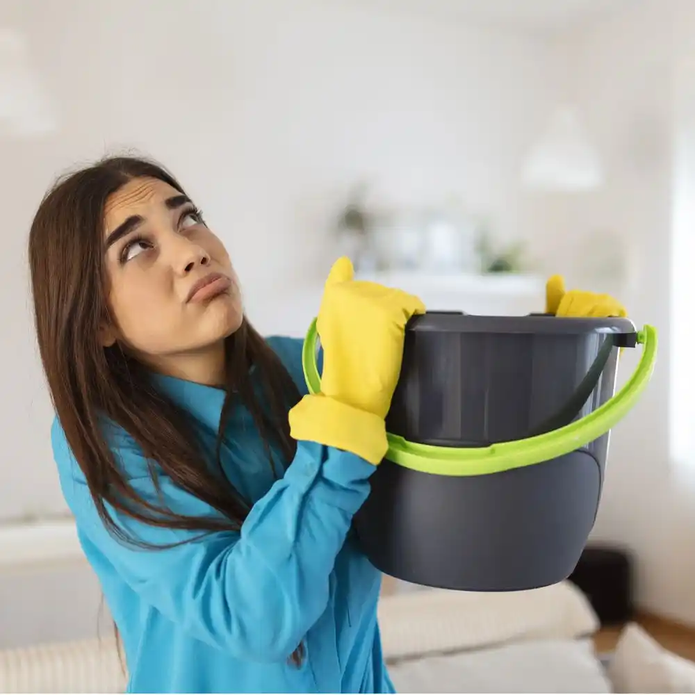 water damage restoration service Wisner